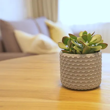 Trójmiejski Przystanek