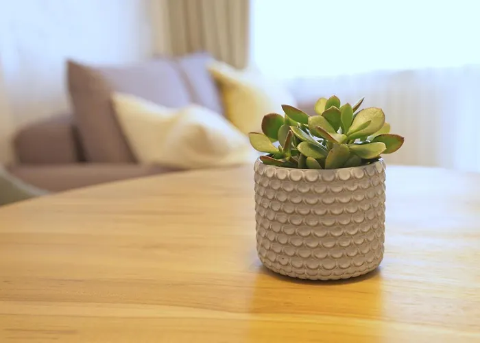 Trojmiejski Przystanek